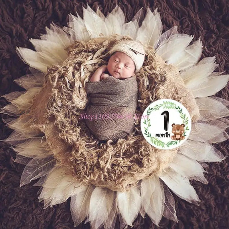 R6FD Baby Memorial Month Stickers Monthly Record Cartoon Animal Floral Print Stickers