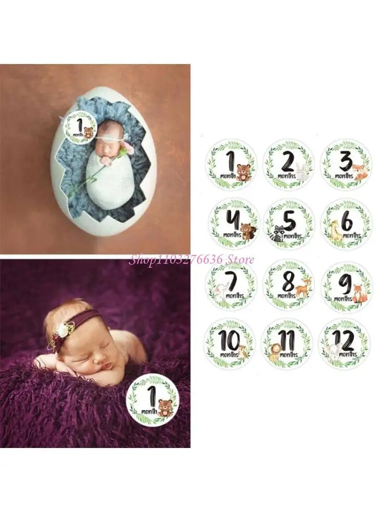 R6FD Baby Memorial Month Stickers Monthly Record Cartoon Animal Floral Print Stickers