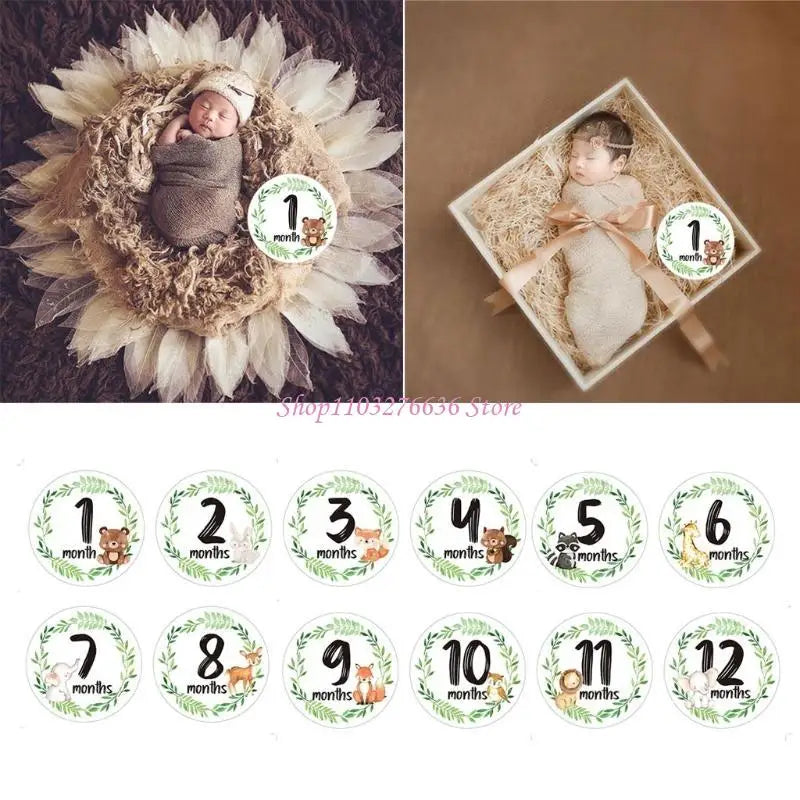 R6FD Baby Memorial Month Stickers Monthly Record Cartoon Animal Floral Print Stickers